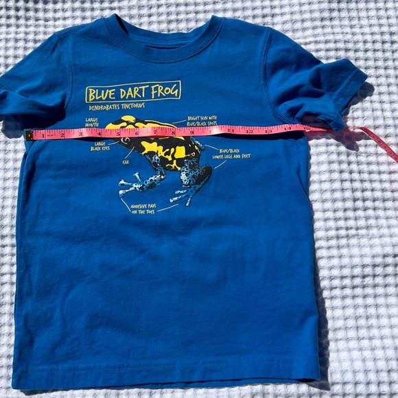 Blue Dart Frog Short Sleeve Tee Shirt - Picture 7 of 11